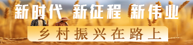 鄉村振興在路上